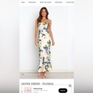 Petal + Pup JAYNE DRESS - FLORAL